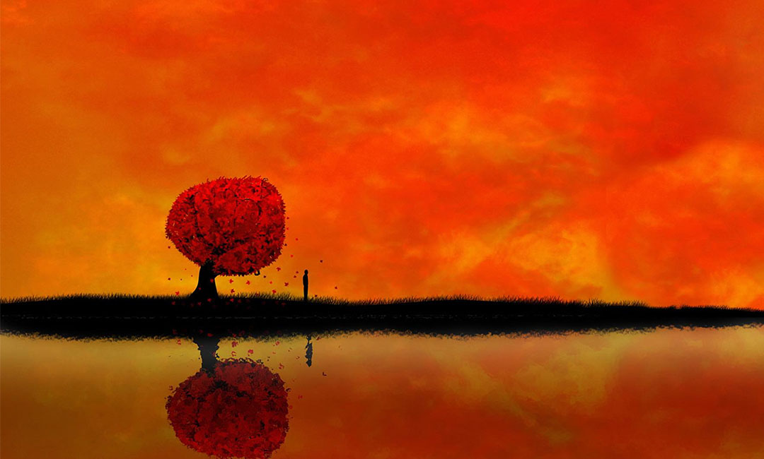 唐山笙影微信朋友圈转发案例